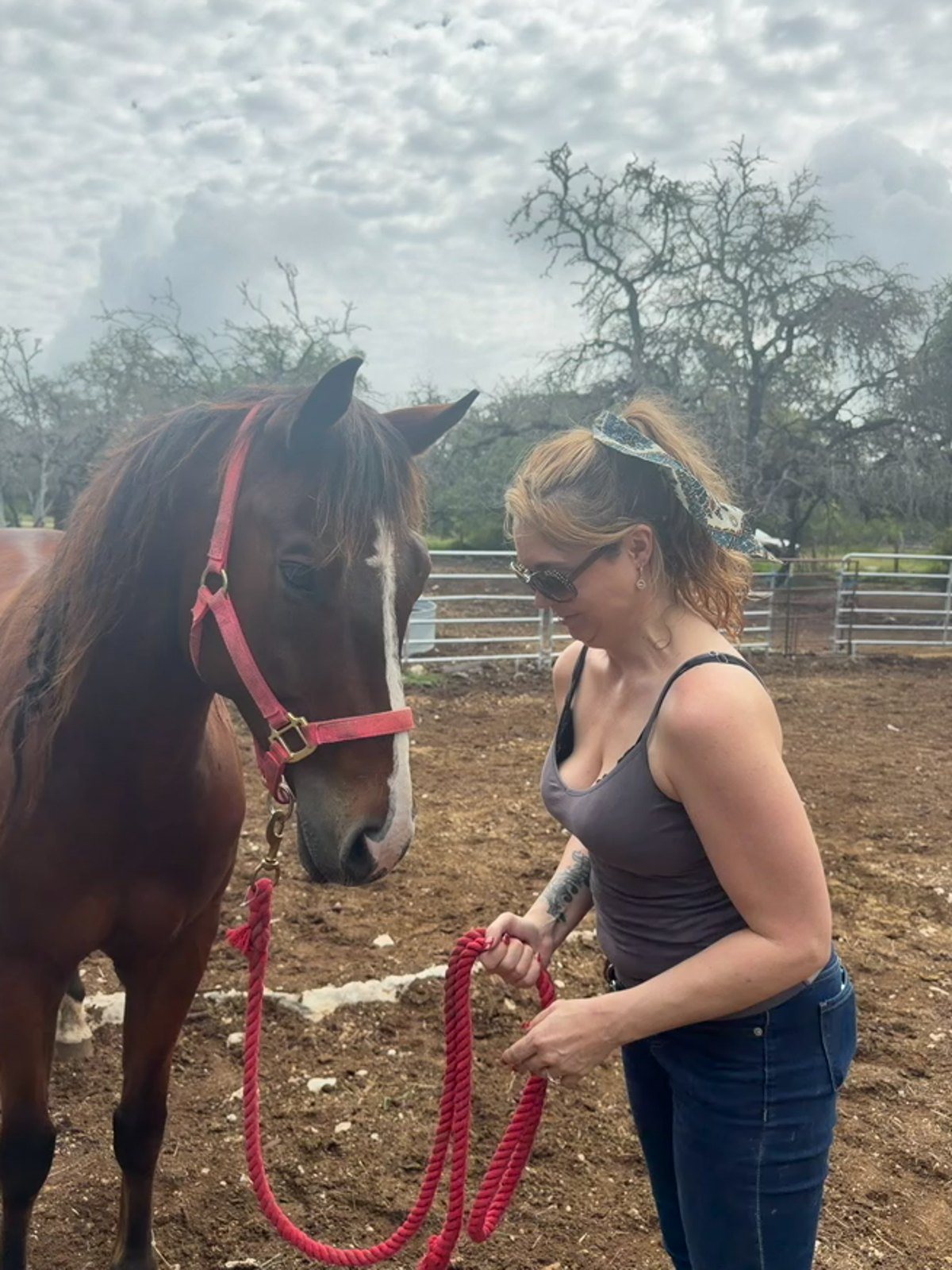 Woman standing with a horse in a calm outdoor recovery setting